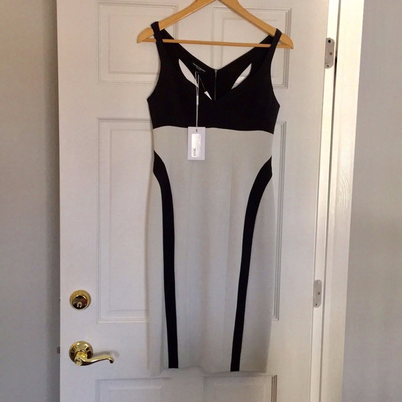 EUC Narcisco Rodriguez Dress, Sz 42 - Picture 1 of 5